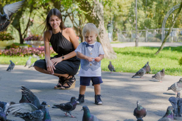 istock Little boy surrounded by pigeons in the park 1178608128