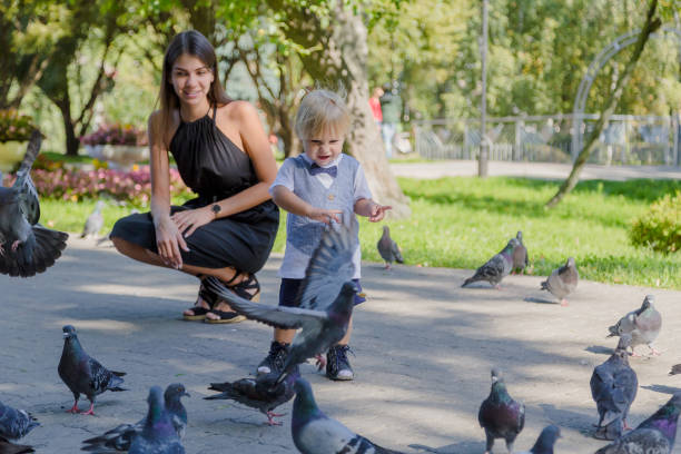 istock Little boy surrounded by pigeons in the park 1178608148