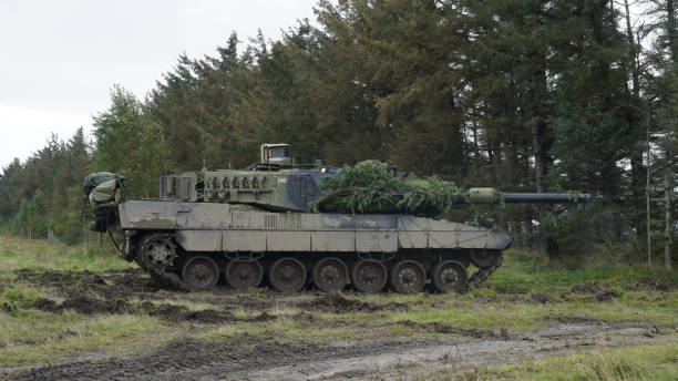 레오파드 탱크 - leopard tank 뉴스 사진 이미지