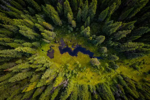 Photo of Aerial view of wetlands