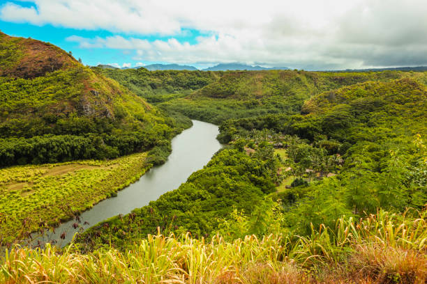 istock Wailua river panorama, Kauai 1178615116