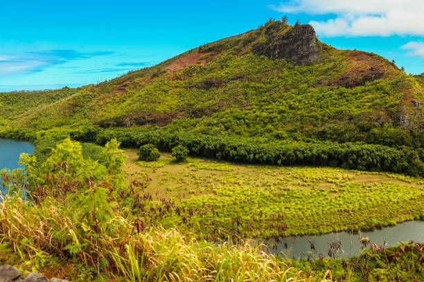 istock Wailua river panorama, Kauai 1178615117