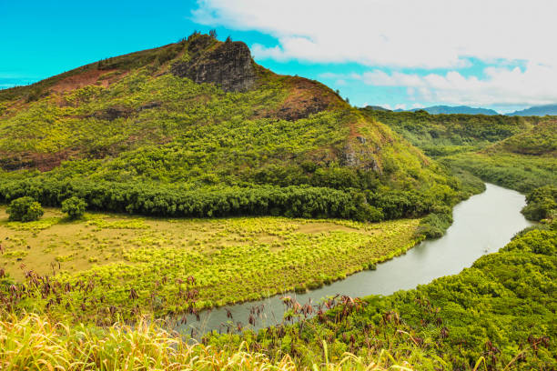 istock Wailua river panorama, Kauai 1178615118