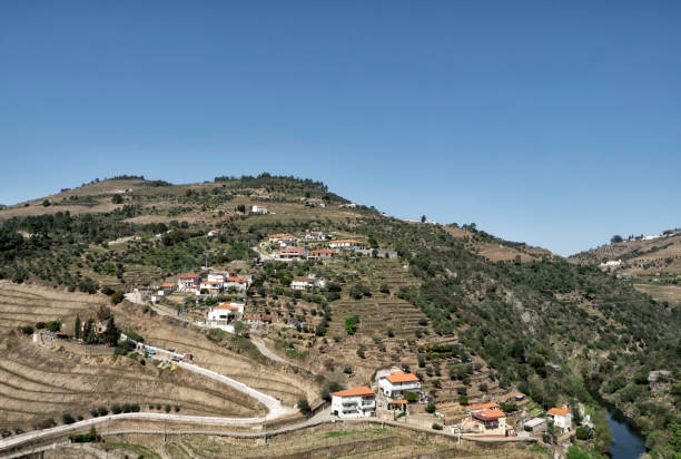 istock Douro Valley, wineyard around the Douro River, Portugal 1178615609