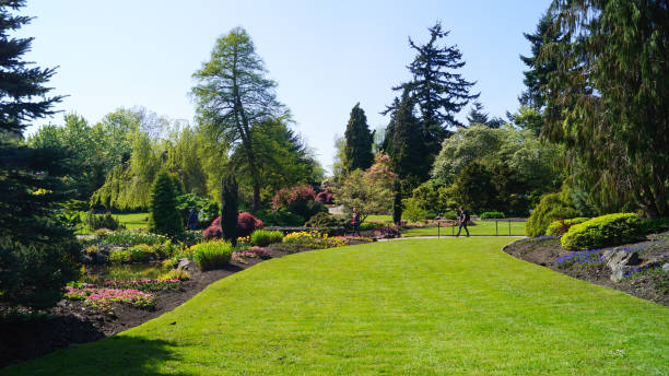 istock Queen Elizabeth Park, British Columbia 1178616301