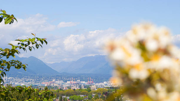 istock Queen Elizabeth Park, British Columbia 1178616446