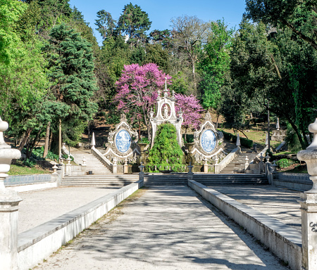 Jardines de la ciudad de Coimbra - Portugal photo
