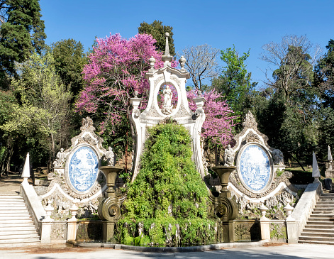 Jardines de la ciudad de Coimbra - Portugal photo