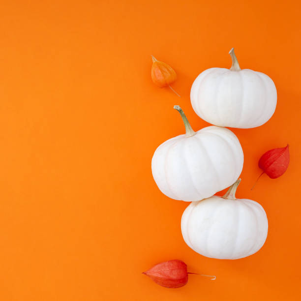 istock Autumn flat lay composition with white pumpkins 1178618542