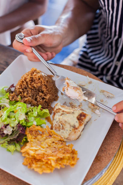 istock Plate of food 1178624048