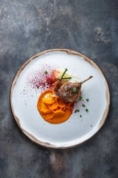 duck leg confit with batat puree, carrots and couscous, restaurant meal, copy space - apple red portion fruit imagens e fotografias de stock