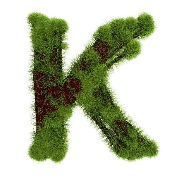 grasbuchstabe k isoliert auf weißem hintergrund. symbol bedeckt grünes gras. öko-brief. 3d-illustration - letter k alphabet three dimensional shape green stock-fotos und bilder