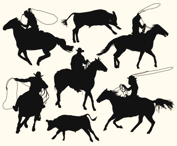 illustrazioni stock, clip art, cartoni animati e icone di tendenza di cowboy con lazo a cavallo al rodeo - laccio