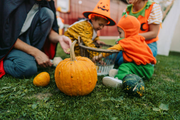 istock Preparing pumpkins for Halloween 1178627856