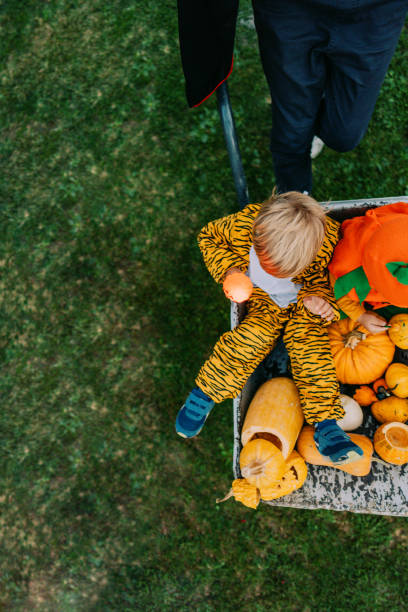 istock Crazy ride with little brother and pumpkins 1178633166