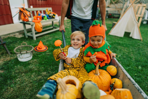 istock What an amazing ride 1178635767