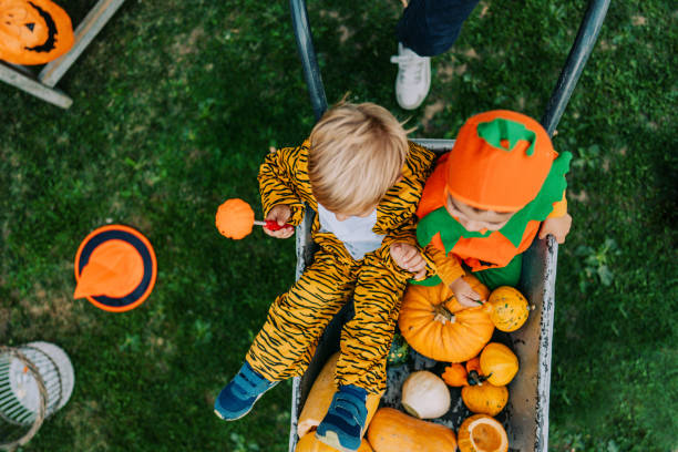 istock Crazy ride with little brother and pumpkins 1178635848