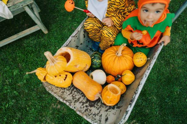 istock Crazy ride with little brother and pumpkins 1178635926