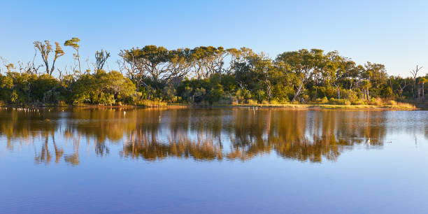 istock Big Talbot Island State Park, Florida 1178635948