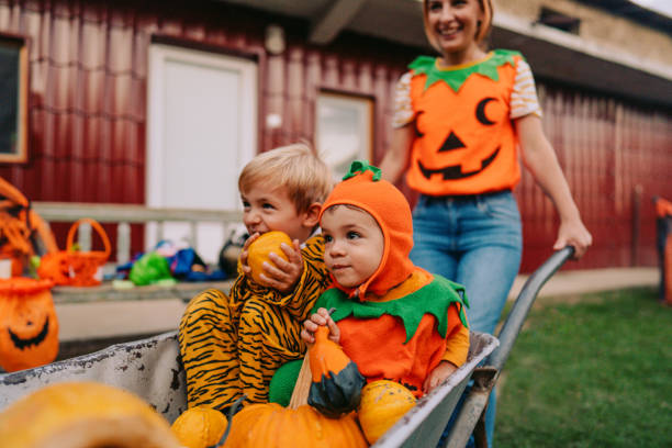 istock Halloween in our yard 1178636130