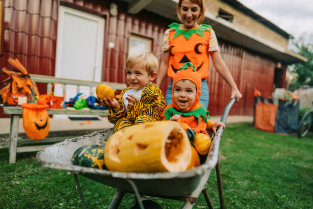 Halloween in our yard