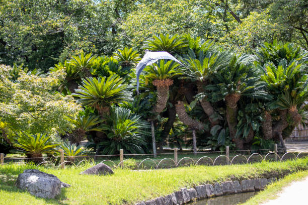 istock Egrets in the park 1178637842
