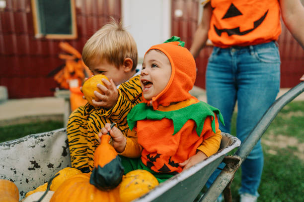 istock Halloween in our yard 1178639631