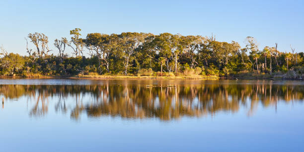 istock Big Talbot Island State Park, Florida 1178639658