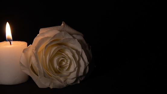 White Rose with lit candle on a black background. Concept of spirituality