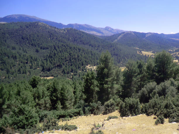 istock Yabouss Mountains and forest 1178640400