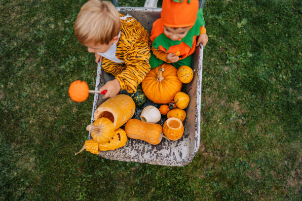 istock Crazy ride with little brother and pumpkins 1178641444