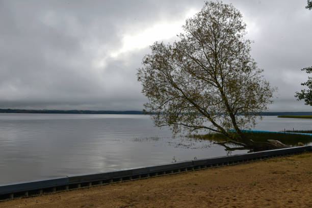istock dawn on the lake 1178641582