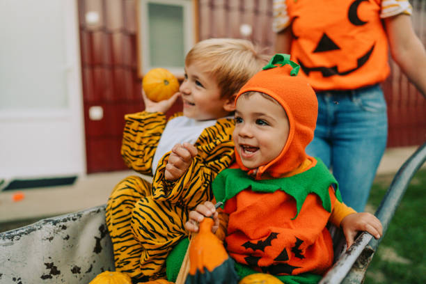 istock Halloween in our yard 1178641753