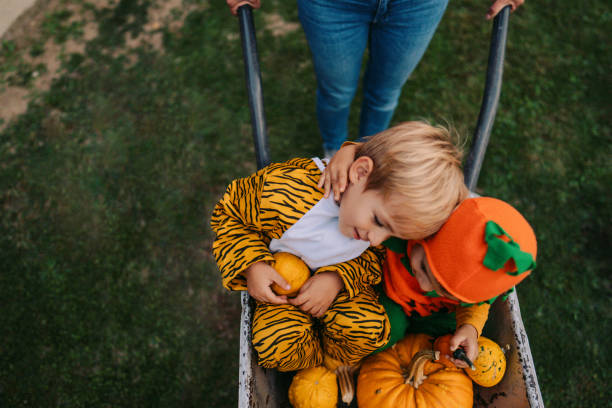 istock Halloween in our yard 1178641953