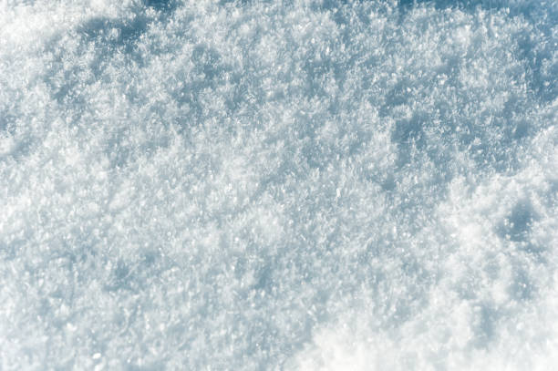 istock Winter background: fluffy snow close-up with visible snowflake texture 1178642855