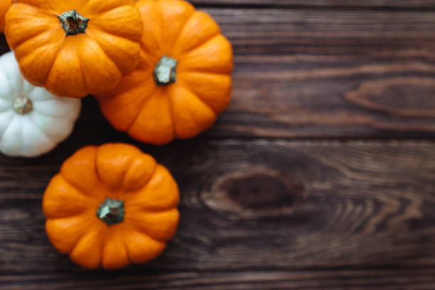 istock A group of miniature pumpkin 1178643956