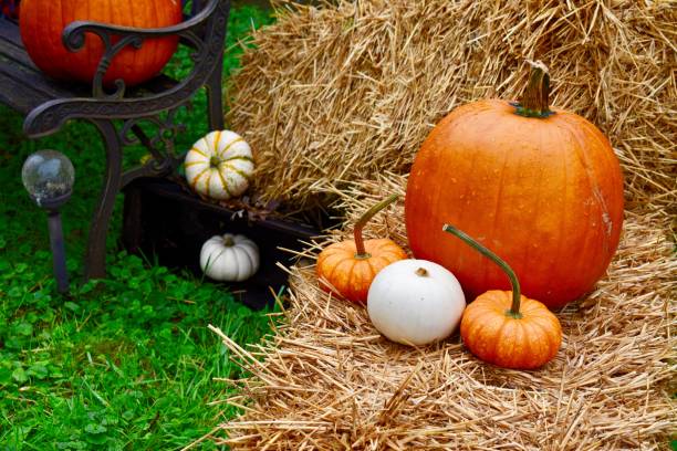 istock Beautiful fall decor outdoors bench blanket mums straw hay bale autumn acorn squash pumpkins iron heart celebrate welcome cozy 1178644324