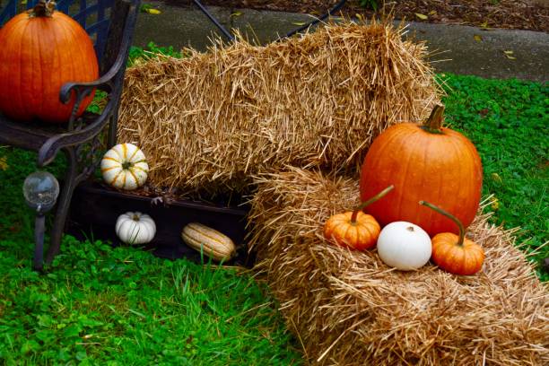 istock Beautiful fall decor outdoors bench blanket mums straw hay bale autumn acorn squash pumpkins iron heart celebrate welcome cozy 1178644356