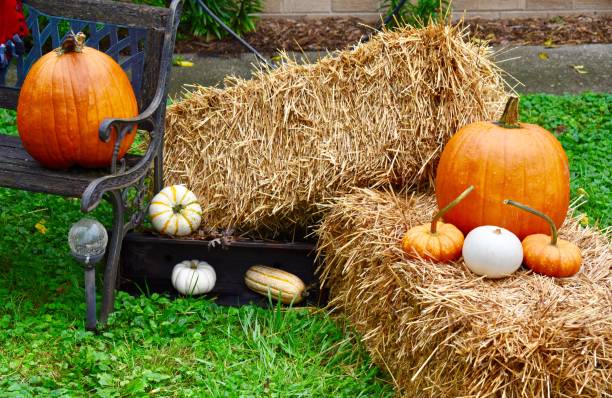 istock Beautiful fall decor outdoors bench blanket mums straw hay bale autumn acorn squash pumpkins iron heart celebrate welcome cozy 1178644378
