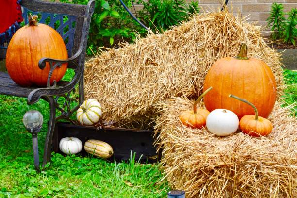 istock Beautiful fall decor outdoors bench blanket mums straw hay bale autumn acorn squash pumpkins iron heart celebrate welcome cozy 1178644421