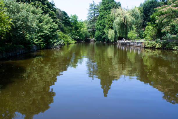 istock Lake and nature landscape in the forest. 1178653599