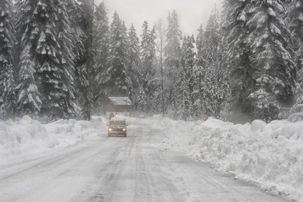 istock Snow Blizzard on the Snoqualmie Pass 1178656185