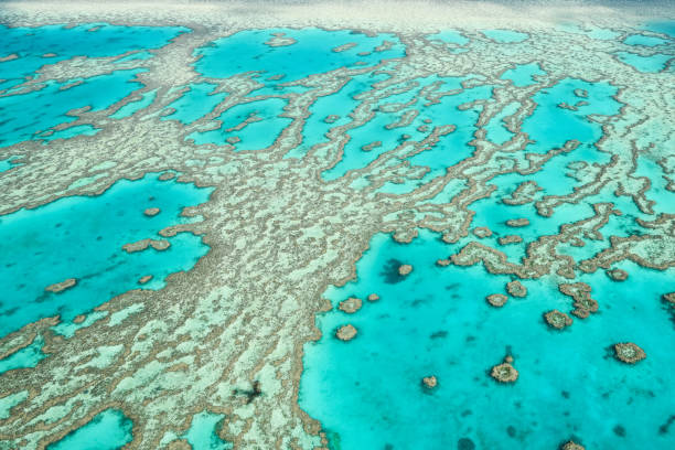 istock Great Barrier Reef and Whitsundays 1178656732