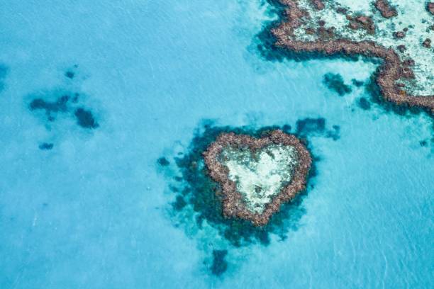 istock Great Barrier Reef and Whitsundays 1178656737