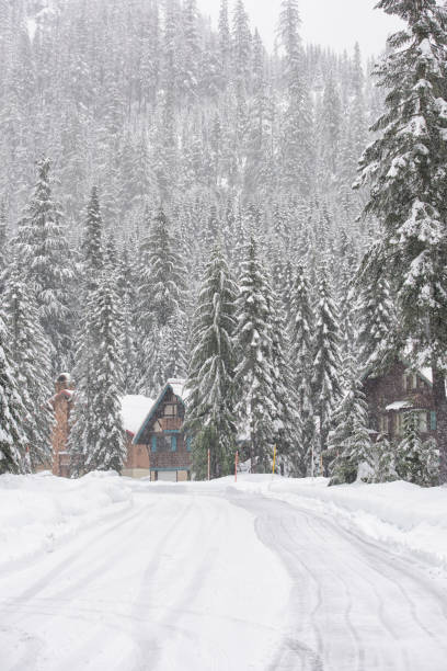 istock Snow Storm on the Snoqualmie Pass 1178658779