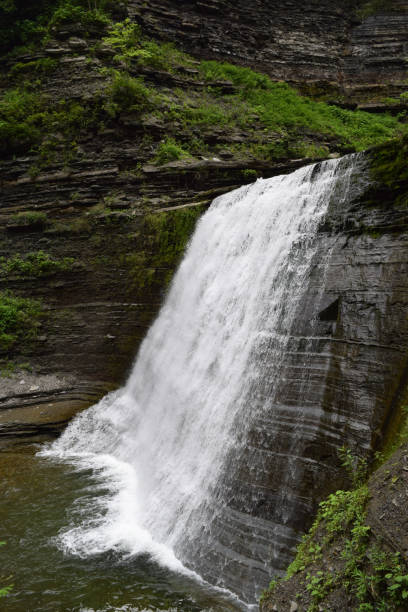istock Lush Forest Waterfall Cascading Water Flowing Over Cliff Stream River Falls 1178669694