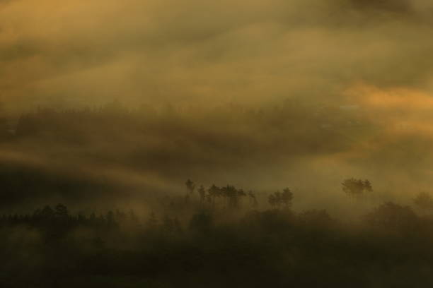istock Sea of ​​clouds at sunrise 1178679146