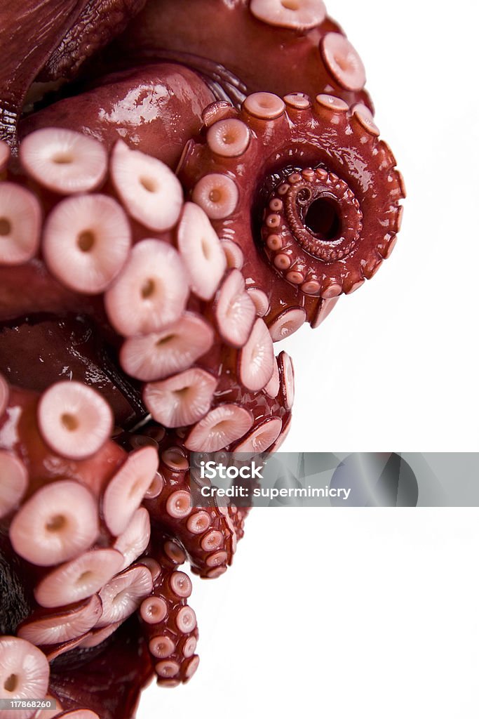 Monstruo del mar - Foto de stock de Pulpo libre de derechos