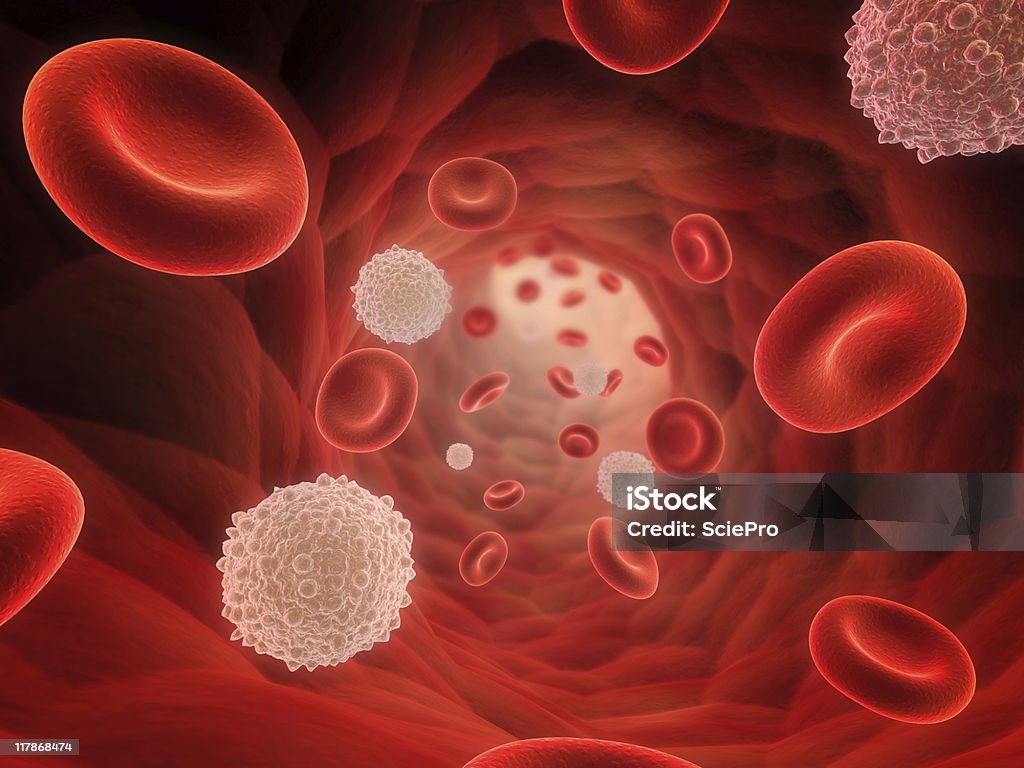 A 3D rendering of a bunch of red and white blood cells streaming blood White Blood Cell Stock Photo