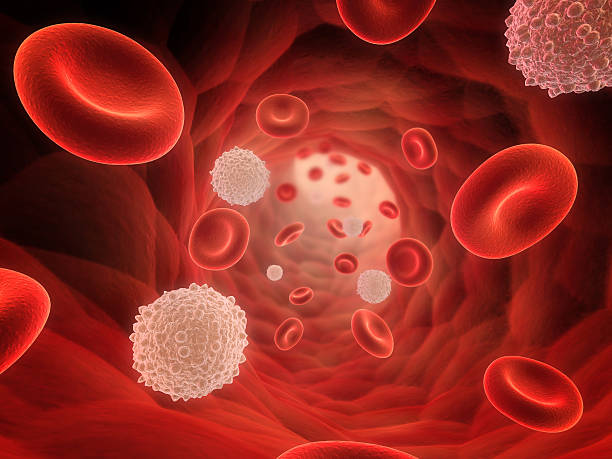 A 3D rendering of a bunch of red and white blood cells stock photo